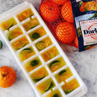 Citrus Ice Cubes-1-1