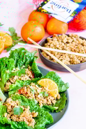 Darling Citrus Lettuce Wraps-2