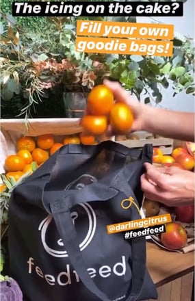 FeedFeed2