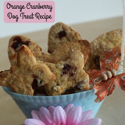 Orange-Cranberry-Dog-Treat-Recipe-1-1-1