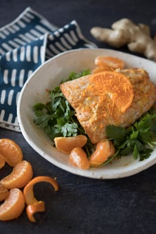 Salmon 7