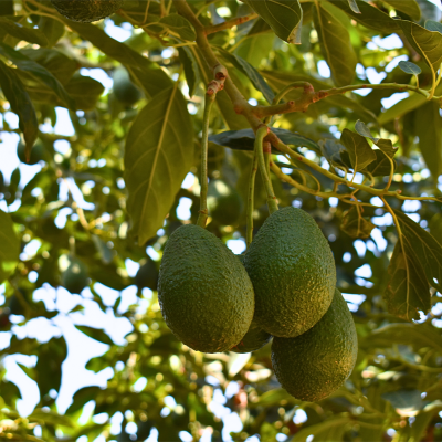 Untitled design (27)