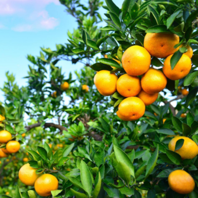 Untitled design (28)