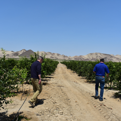 Untitled design (29)